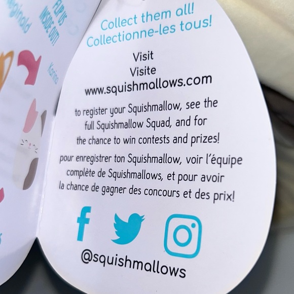 Karina๐Reginald ๐ฑ ๐ถ Cat & Corgi Flip A Mallow Original Squishmallow โใNWTใโ - Picture 6 of 8